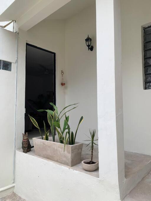 Private Full House With Pool And Cozy Patio Valladolid (Yucatan) Exterior foto